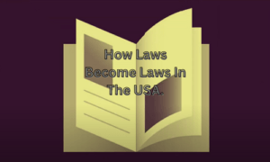 How Laws Become Laws In The USA.